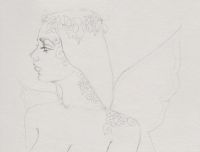 Rose Fairy